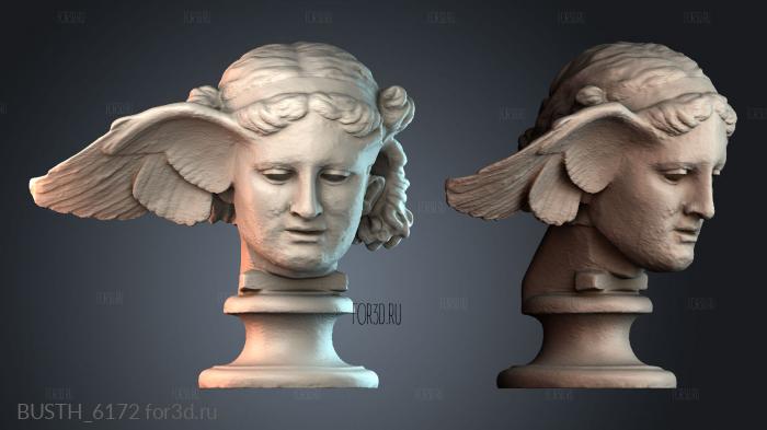 BUSTH_6172 stl model for CNC