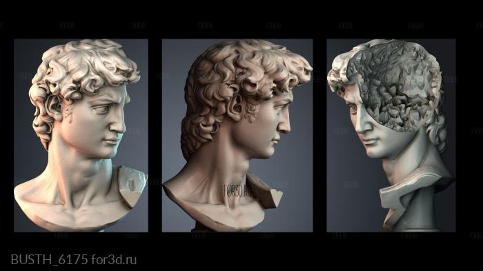 BUSTH_6175 stl model for CNC