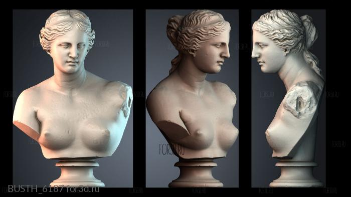 BUSTH_6187 stl model for CNC