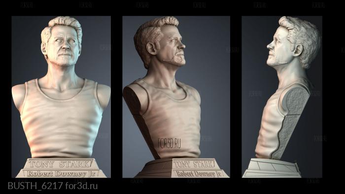 BUSTH_6217 stl model for CNC