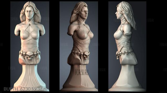 BUSTH_6230 stl model for CNC