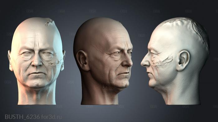 BUSTH_6236 stl model for CNC