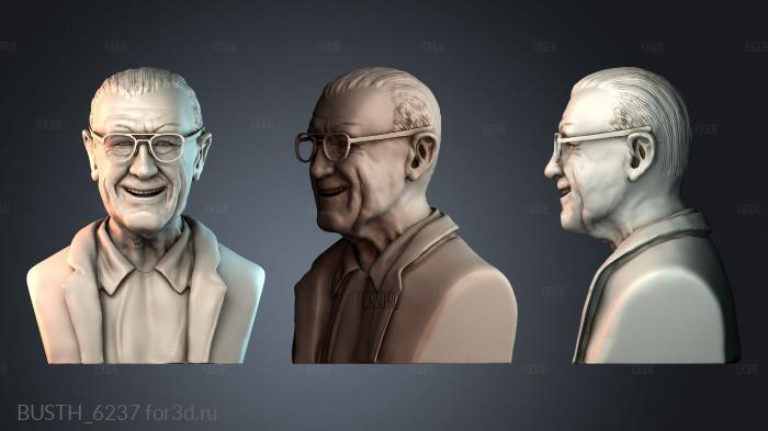 BUSTH_6237 stl model for CNC