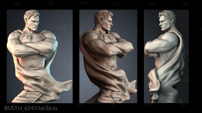 BUSTH_6243 stl model for CNC