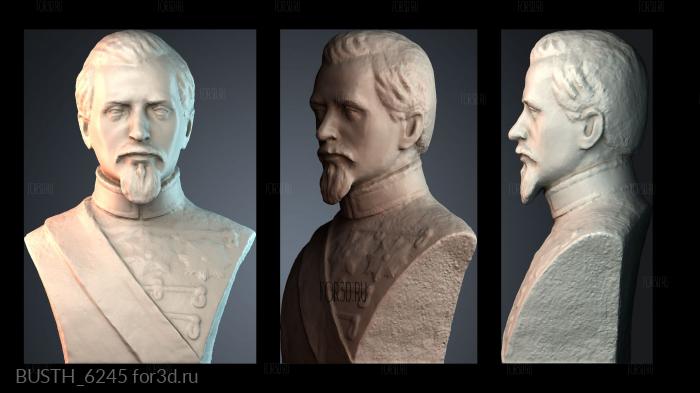 BUSTH_6245 stl model for CNC