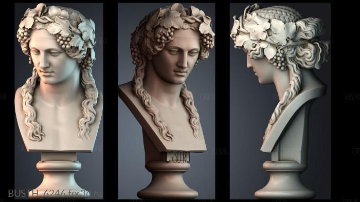 BUSTH_6246 stl model for CNC