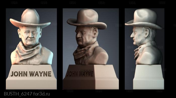 BUSTH_6247 stl model for CNC