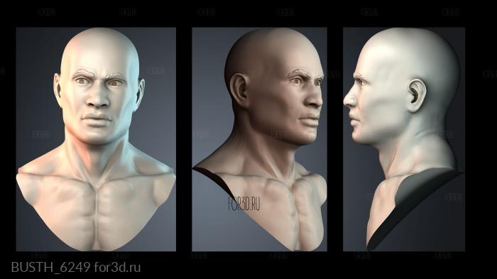 BUSTH_6249 stl model for CNC