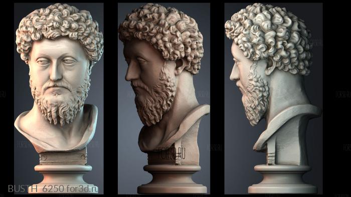 BUSTH_6250 stl model for CNC