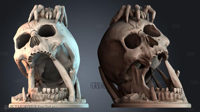 BUSTH_6253 stl model for CNC