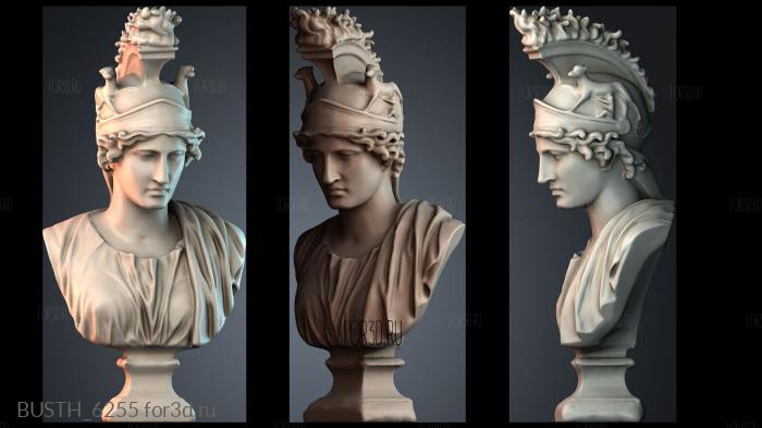 BUSTH_6255 stl model for CNC