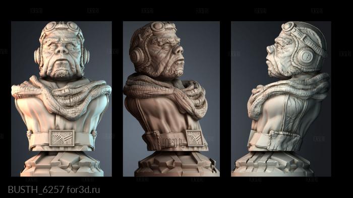 BUSTH_6257 stl model for CNC