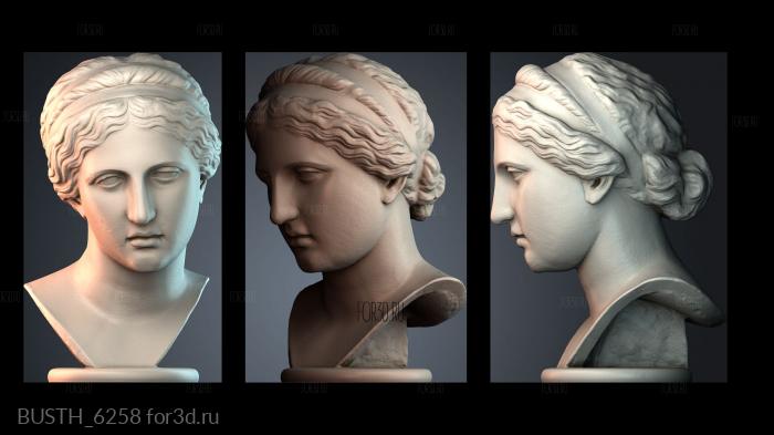 BUSTH_6258 stl model for CNC