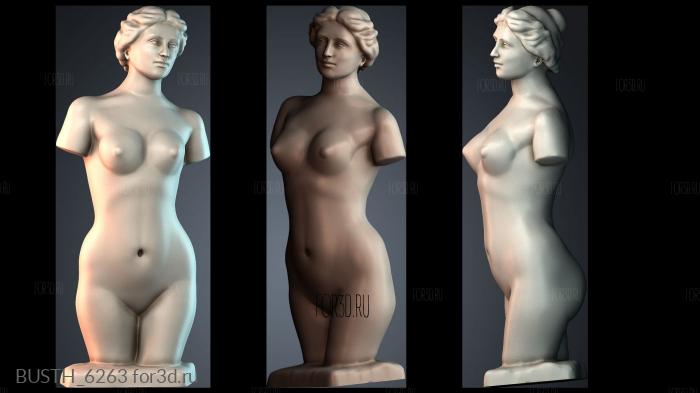 BUSTH_6263 stl model for CNC