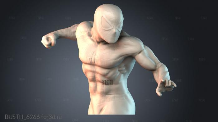 BUSTH_6266 stl model for CNC