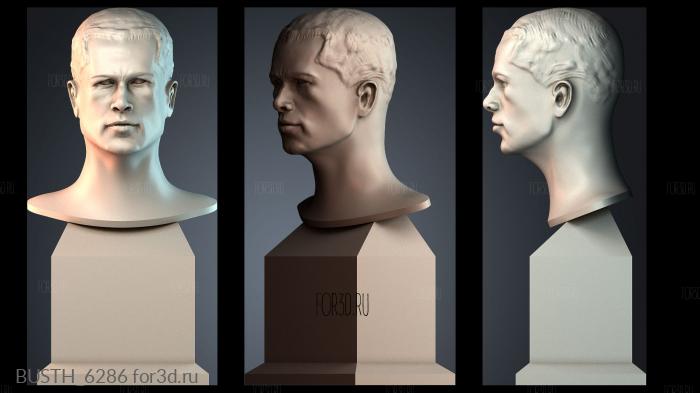 BUSTH_6286 stl model for CNC