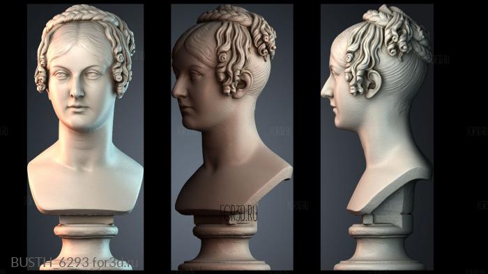 BUSTH_6293 stl model for CNC