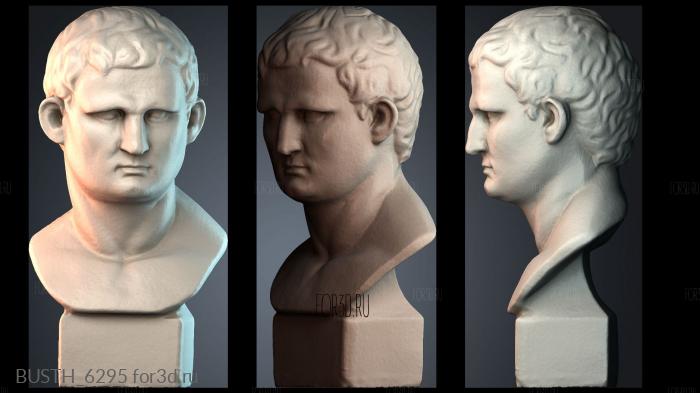 BUSTH_6295 stl model for CNC