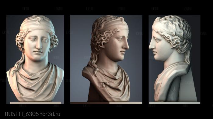 BUSTH_6305 stl model for CNC