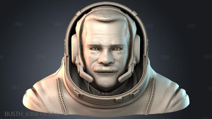 BUSTH_6306 stl model for CNC