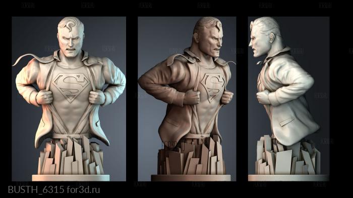 BUSTH_6315 stl model for CNC