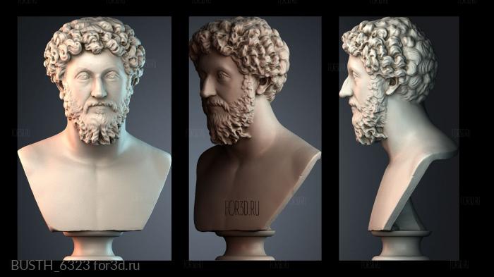 BUSTH_6323 stl model for CNC