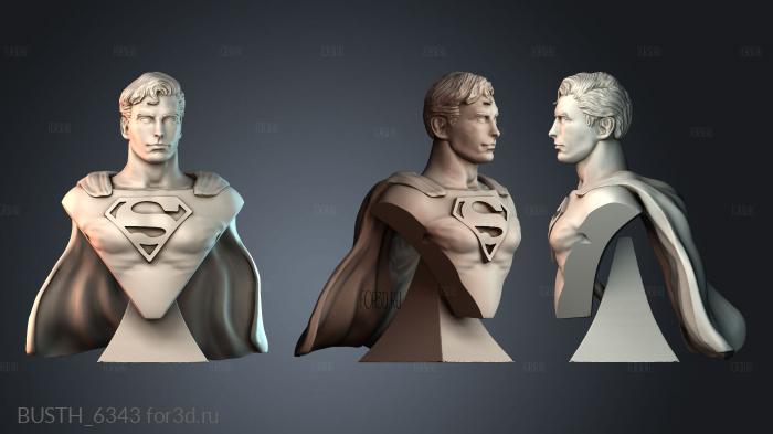 BUSTH_6343 stl model for CNC