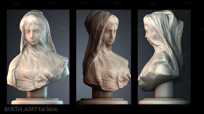 BUSTH_6347 stl model for CNC