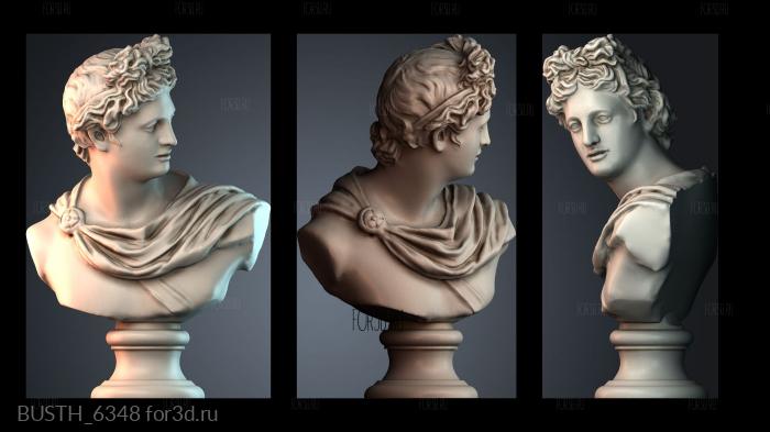 BUSTH_6348 stl model for CNC