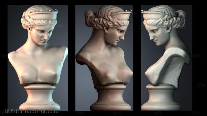 BUSTH_6356 stl model for CNC