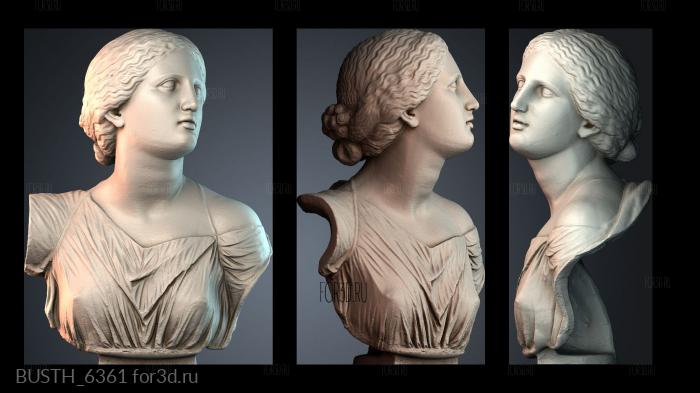 BUSTH_6361 stl model for CNC