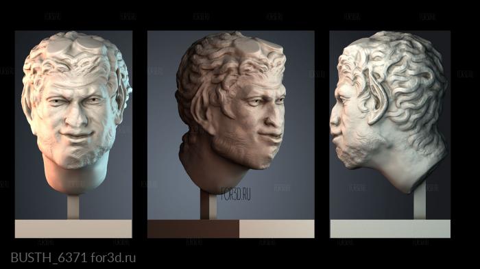 BUSTH_6371 stl model for CNC