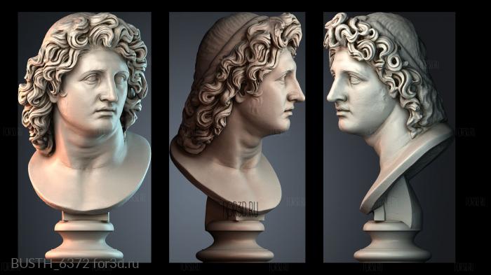 BUSTH_6372 stl model for CNC