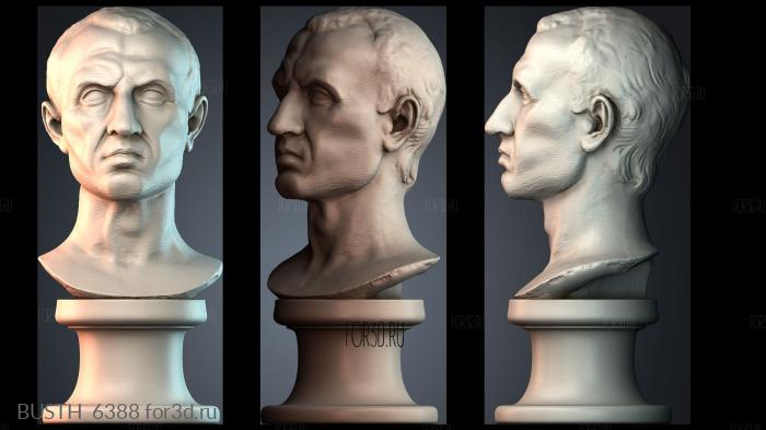 BUSTH_6388 stl model for CNC