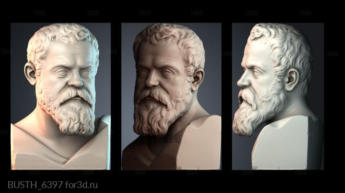 BUSTH_6397 stl model for CNC