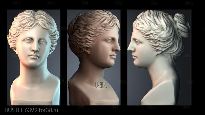 BUSTH_6399 stl model for CNC