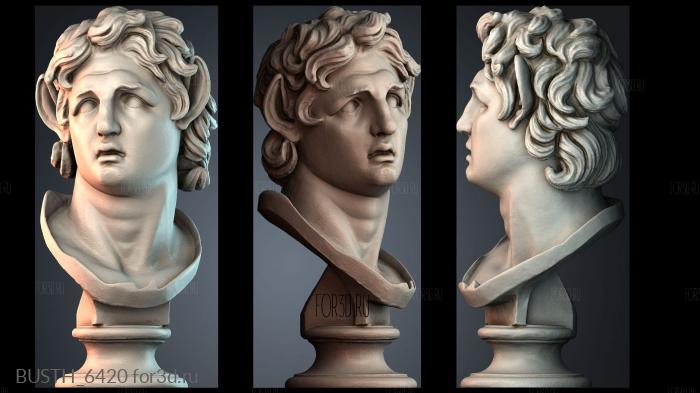 BUSTH_6420 stl model for CNC