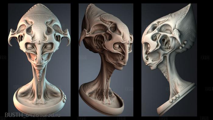 BUSTH_6426 stl model for CNC