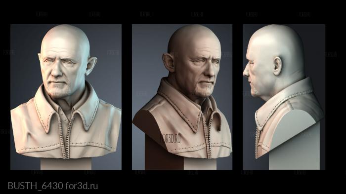 BUSTH_6430 stl model for CNC