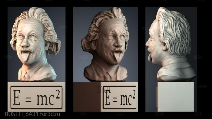 BUSTH_6431 stl model for CNC