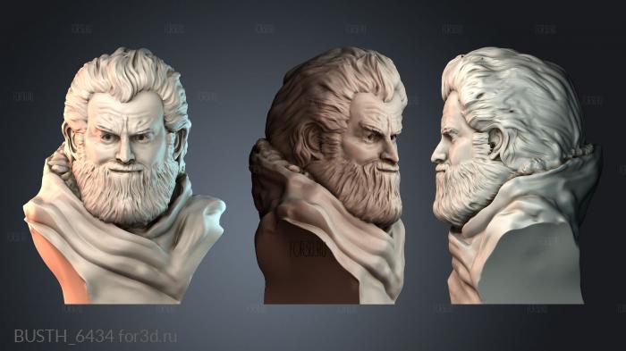 BUSTH_6434 stl model for CNC