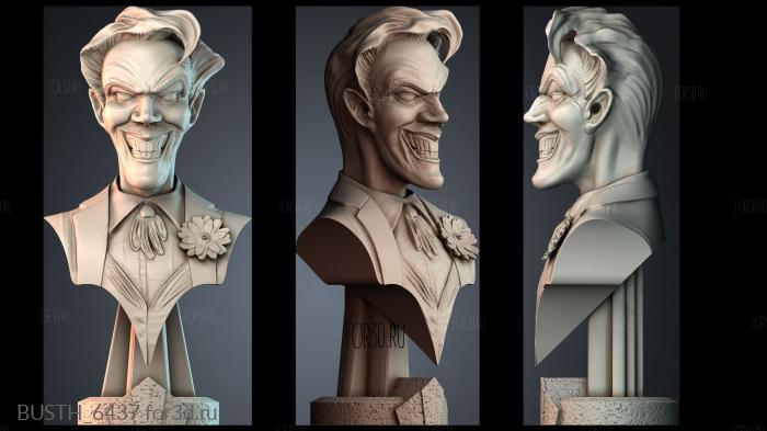 BUSTH_6437 stl model for CNC