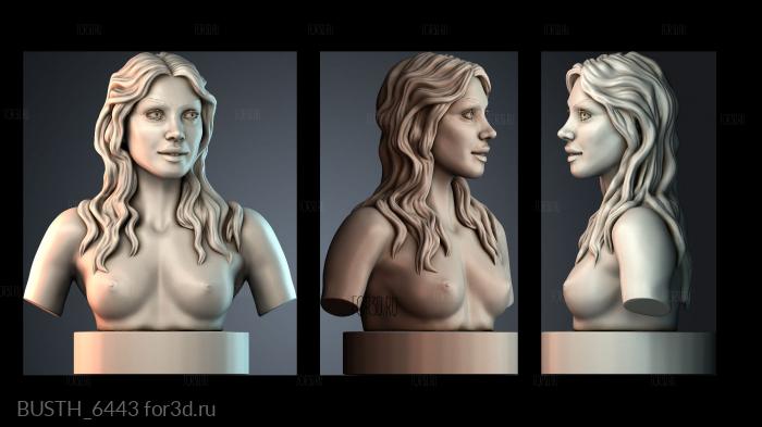 BUSTH_6443 3d stl модель для ЧПУ