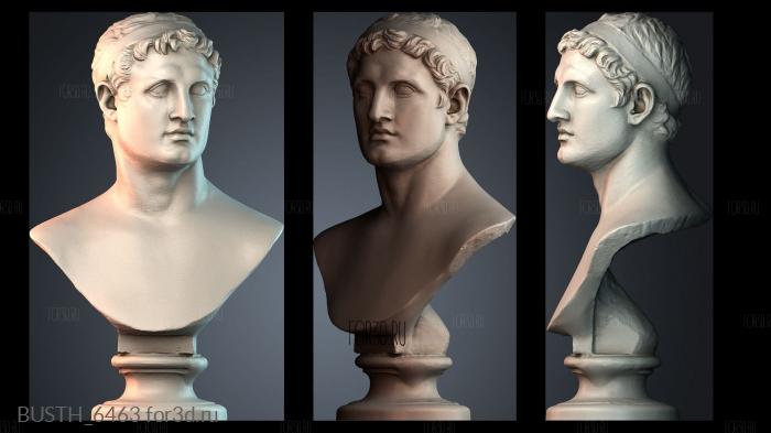 BUSTH_6463 3d stl модель для ЧПУ