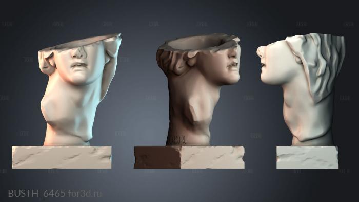 BUSTH_6465 3d stl модель для ЧПУ