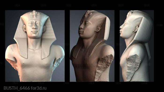 BUSTH_6466 3d stl модель для ЧПУ