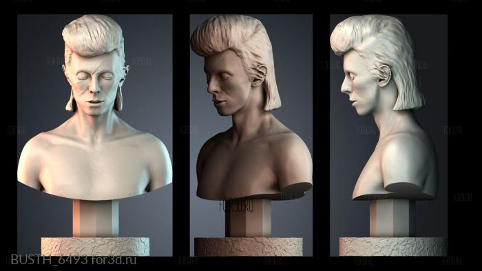 BUSTH_6493 3d stl модель для ЧПУ