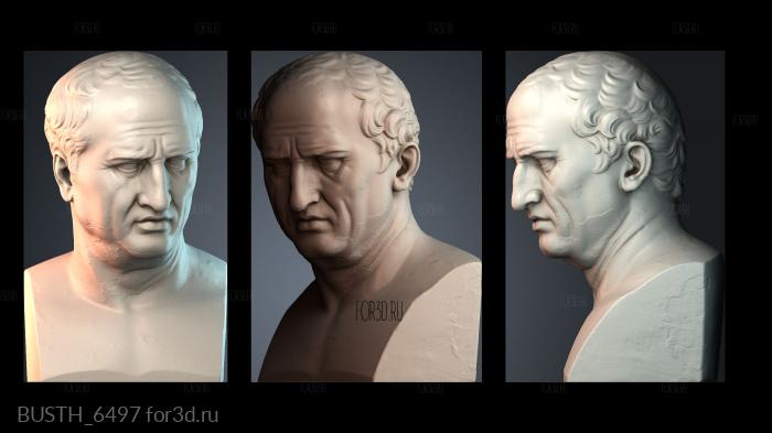 BUSTH_6497 3d stl модель для ЧПУ