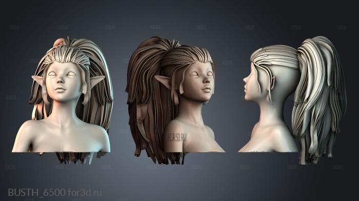 BUSTH_6500 3d stl модель для ЧПУ