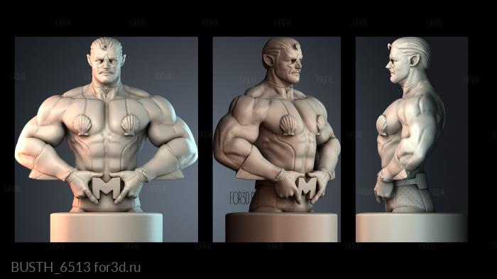 BUSTH_6513 3d stl модель для ЧПУ
